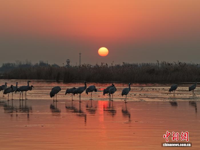 ����������ʪ�ء���ˮ�����������ӭ����