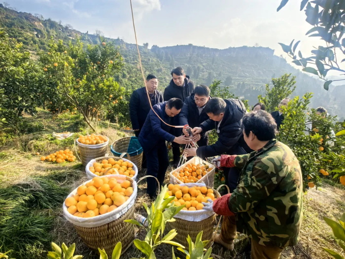 �Ƽ���������ũҵ �ﴨ���˻��ƽ�ũ��Ʒ���� �����һ���