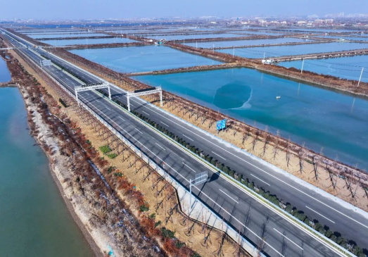 ����������̹; �۳ǹ�·����ƪ������ʮ���塱ʱ�����Ƹ۹�·��ҵ��չ˶��ӯ֦