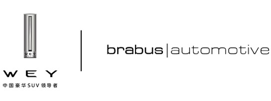 ������Ͳ�˹ǩ��ս��Э�� չ�������з���У�ȷ���ĺ���