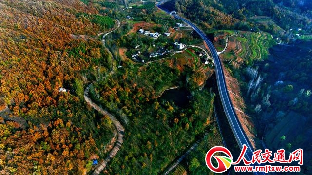 乡村振兴路先行 百县通村入组工程大幕拉开