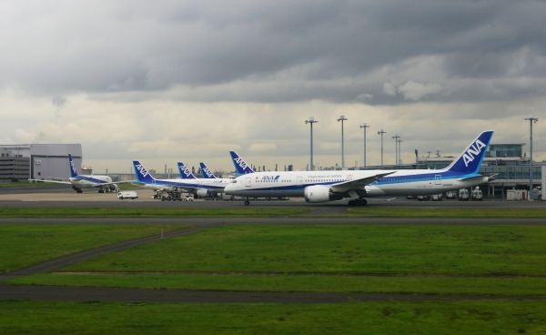 中日航班占日本国际航线四分之一 存在感正在提高